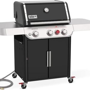 Weber Genesis E 325S Gas Grill